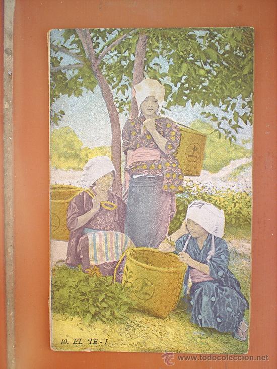 Livres anciens: EL TE-I-SERIE AGRICULTURA Y ZOOTECNIA-N.10-BIBLIOTECA MIRALLES-A&Ntilde;OS 30