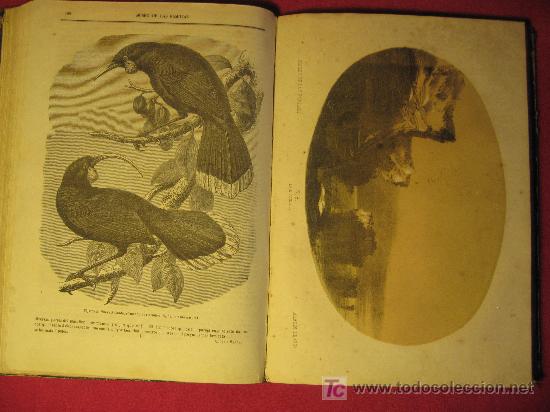 Libros antiguos: MUSEO DE LAS FAMILIAS - 1861 - Foto 10