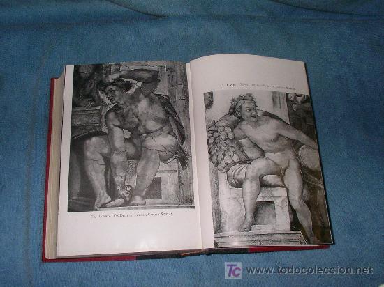 Libros antiguos: VIDA DE MIGUEL ANGEL - HERMANN GRIMM - MUY ILUSTRADO. - Foto 5