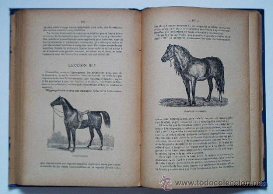 Libros antiguos: AGRICULTURA - a&ntilde;o 1895 - Foto 5