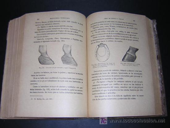 Libros antiguos: ca. 1890 - THARY - ARTE DE HERRAR Y FORJAR - Foto 5