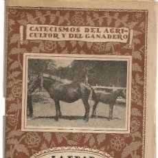 Libros antiguos: LA EDAD DE LOS ANIMALES / E. MOLINA. MADRID : ESPASA-CALPE, S.A. 20X13CM. 62 P.