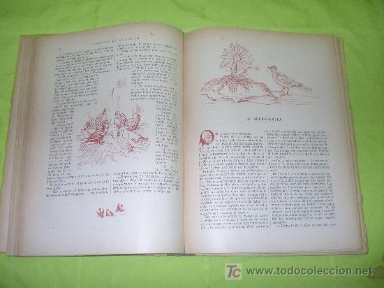 Libros antiguos: CUENTOS DE ANDERSEN - A&Ntilde;O 1930 - ILUSTRACIONES DE LONGORIA. - Foto 5