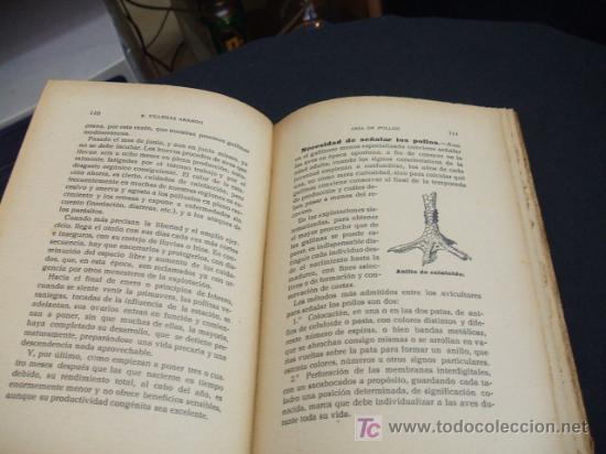 Libros antiguos: LOS SECRETOS DE LA CRIA DE POLLOS - E. VILLEGAS ARANGO - - Foto 3