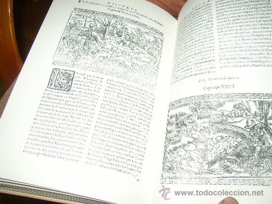 Libros antiguos: CAZA. LIBRO DE LA MONTER&Iacute;A. ALONSO DE CASTILLA. (EDICI&Oacute;N FACS&Iacute;MIL DE LA DE 1582). - Foto 9