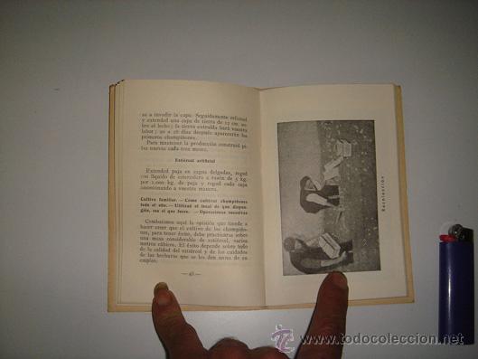 Libros antiguos: cultivo de setas - Foto 2