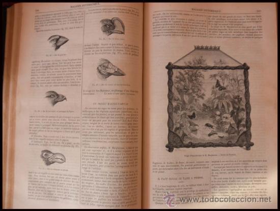 Libros antiguos: LE MAGASIN PITTORESQUE DIRECTOR EDOUARD CHARTON 1872 PERIODICO DE VARIEDADES ILUSTRADO - Foto 17 - 26791103