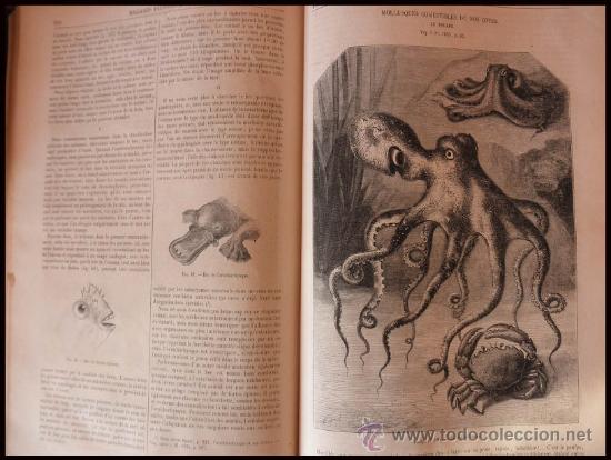 Libros antiguos: LE MAGASIN PITTORESQUE DIRECTOR EDOUARD CHARTON 1872 PERIODICO DE VARIEDADES ILUSTRADO - Foto 20 - 26791103