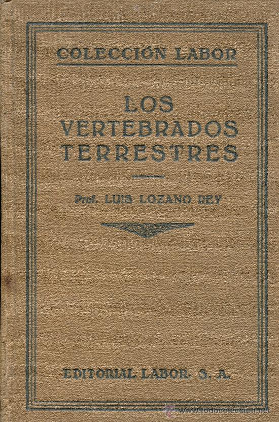 Libros antiguos: los vertebrados terrestres - Foto 1