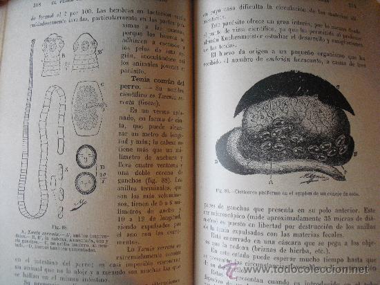 Libros antiguos: Higiene de la Granja. Regnard P. y Portier,P. - Foto 2