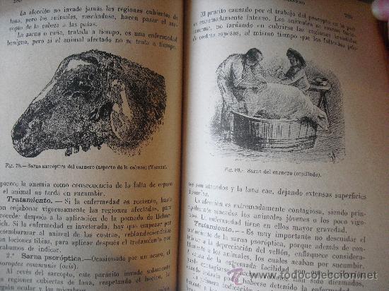 Libros antiguos: Higiene de la Granja. Regnard P. y Portier,P. - Foto 3