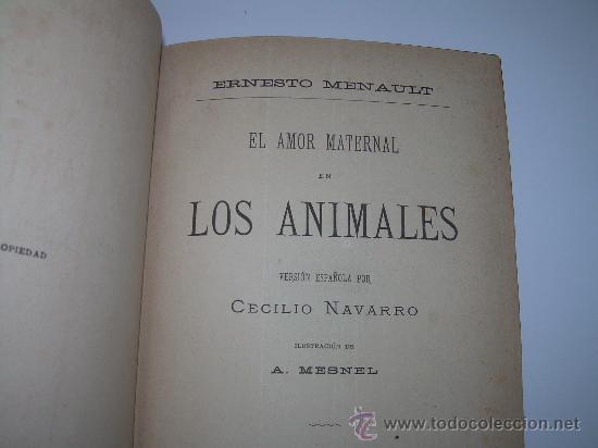 Libros antiguos: AMOR MATERNAL EN LOS ANIMALES......A&Ntilde;O.....1885 - Foto 3