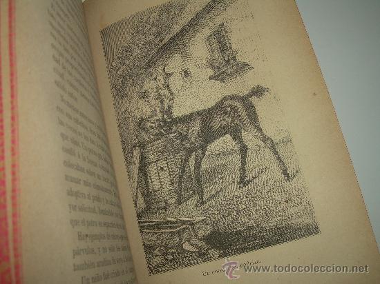 Libros antiguos: AMOR MATERNAL EN LOS ANIMALES......A&Ntilde;O.....1885 - Foto 8