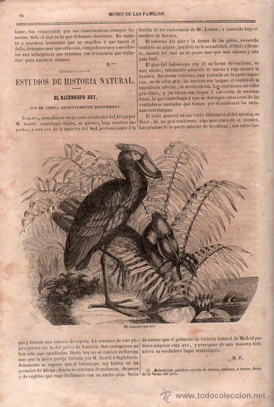 Libros antiguos: MUSEO DE LAS FAMILIAS. TOMO X. 1852 - Foto 6