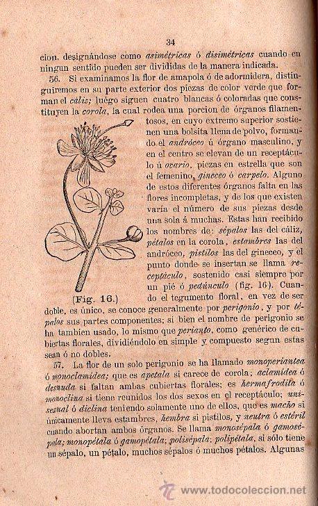 Libros antiguos: FLORA FARMACEUTICA 1871 - Foto 2