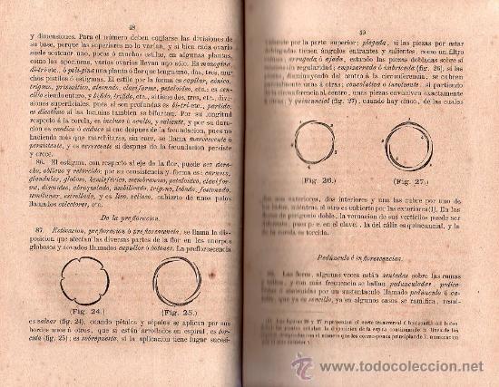 Libros antiguos: FLORA FARMACEUTICA 1871 - Foto 6