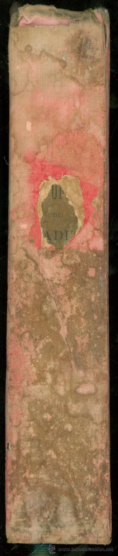 Libros antiguos: ROSETTY. GUIA OFICIAL DE CADIZ. 1891. - Foto 6