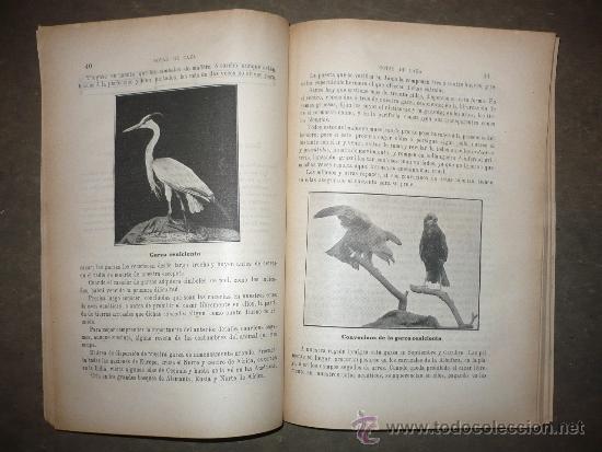 Libros antiguos: Notas de Caza. 1913. Francisco Bru. - Foto 4