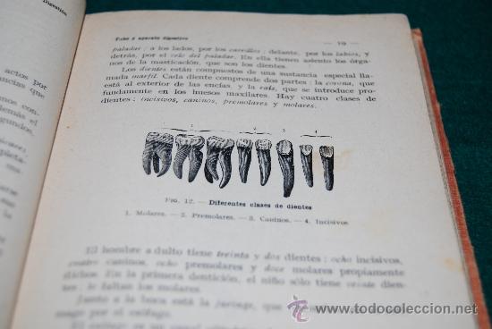 Libros antiguos: Nociones de ciencias - Foto 5