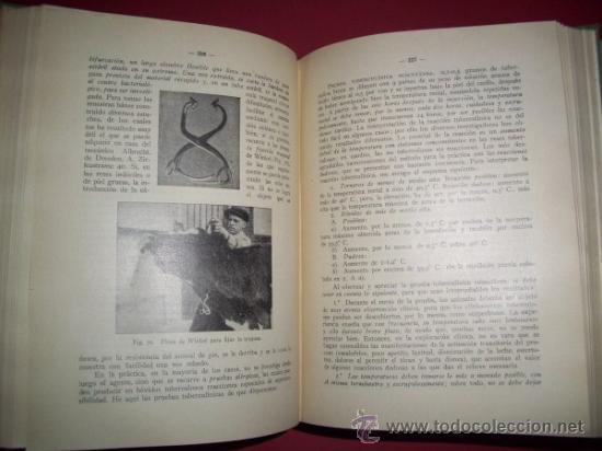 Libros antiguos: WEBER, E.Tratado pr&aacute;ctico de las enfermedades del ganado vacuno - Foto 2