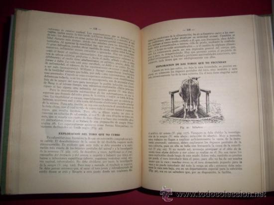Libros antiguos: WEBER, E.Tratado pr&aacute;ctico de las enfermedades del ganado vacuno - Foto 4