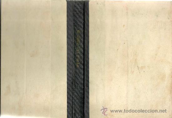 Libros antiguos: El grillo del hogar /  Dickens  . Fromont y Risler / A.  Daudet &ndash; 2 tomos en 1 volumen - Foto 1