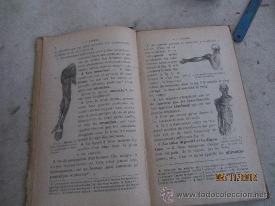 Libros antiguos: scientifique, 1896. 173 gravados. - Foto 3