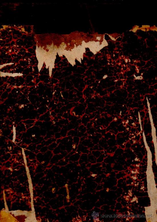 Libros antiguos: LELISIRE DAMORE DEL MAESTRO CAETANO DONIZATTI - Foto 3