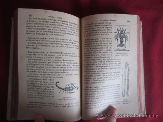 Libros antiguos: JUANITO - L.A. PARRAVICINI - 1914 - Foto 4
