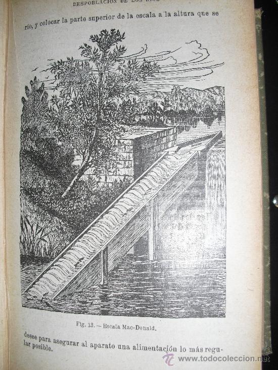 Libros antiguos: Piscicultura. Gu&eacute;naux, G. - Foto 3
