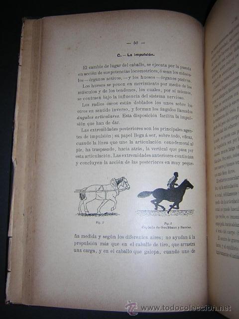 Libros antiguos: 1906 - GASTE - EL MODELO Y LOS AIRES - EQUITACION, CABALLOS - Foto 3