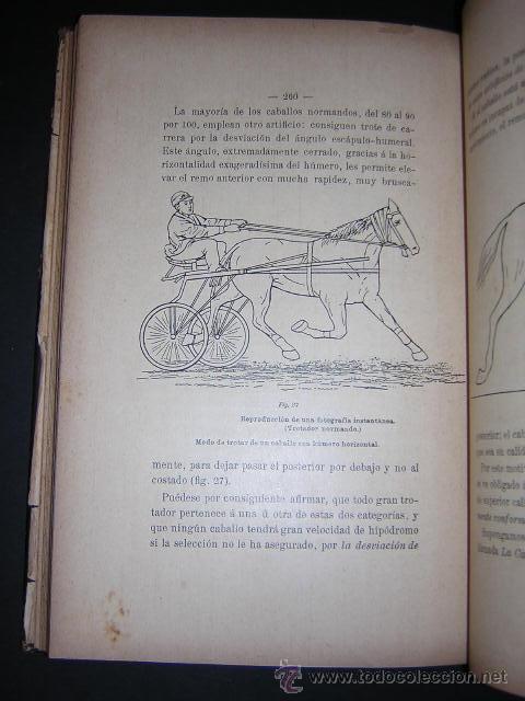 Libros antiguos: 1906 - GASTE - EL MODELO Y LOS AIRES - EQUITACION, CABALLOS - Foto 6