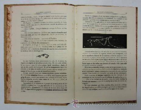 Libros antiguos: LA NAO CAPITANA - A&Ntilde;O 1935 - Foto 3