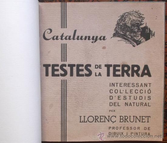 Libros antiguos: Testes de la Terra per Lloren&ccedil; BRUNET - Foto 1
