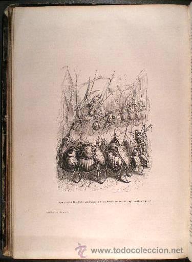 Antiquarische B&uuml;cher: SCENES DE LA VIE PRIVEE ET PUBLIQUE DES ANIMAUX. Vignettes par GRANDVILLE. 1855