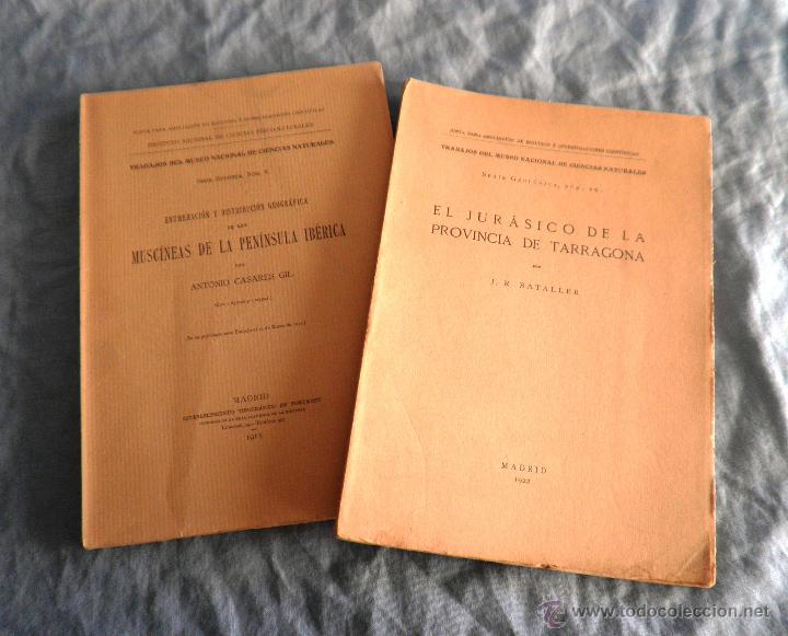 Old books: EL JURASICO DE LA PROVINCIA DE TARRAGONA - MUSCINEAS DE LA PENINUNSULA IBERICA - A&Ntilde;OS 1915-22.