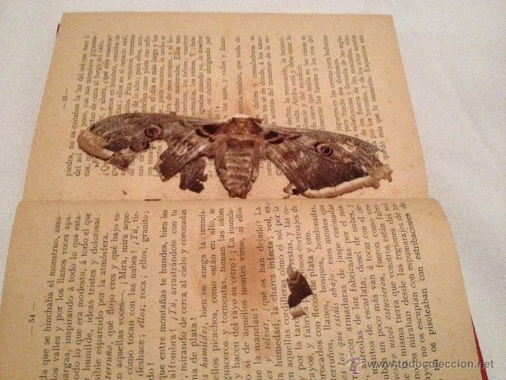 Libros antiguos: Detalles del lote - Foto 5