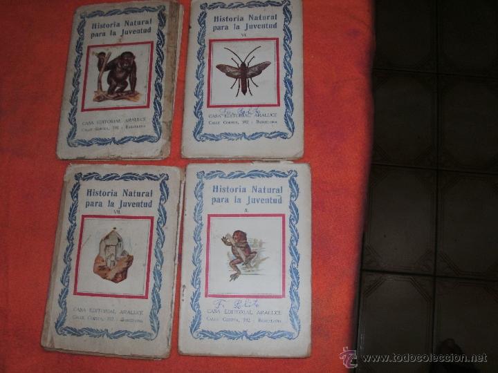 Libros antiguos: HISTORIA NATURAL PARA LA JUVENTUD - 8 TOMOS - - Foto 1