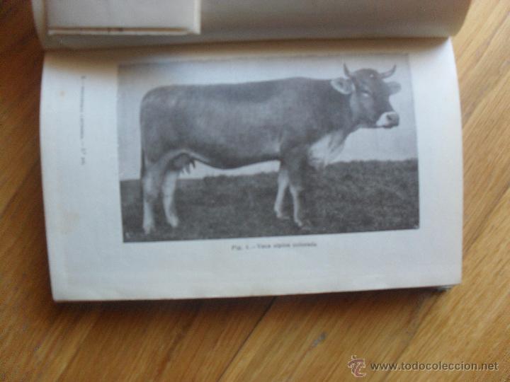 Libros antiguos: LA INDUSTRIA LECHERA, L.Morelli, 1926 - Foto 2