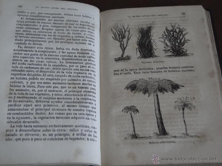 Libros antiguos: EL MUNDO ANTES DEL DILUVIO.-- PIZZETTA. - Foto 3