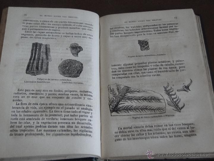 Libros antiguos: EL MUNDO ANTES DEL DILUVIO.-- PIZZETTA. - Foto 4