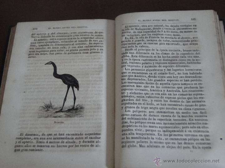 Libros antiguos: EL MUNDO ANTES DEL DILUVIO.-- PIZZETTA. - Foto 5