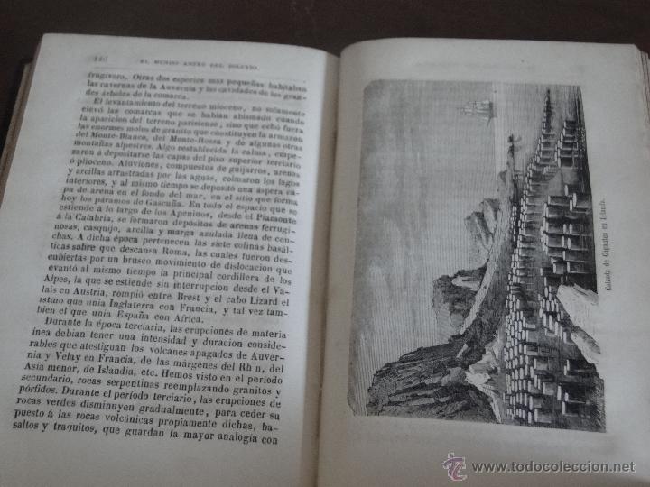 Libros antiguos: EL MUNDO ANTES DEL DILUVIO.-- PIZZETTA. - Foto 6