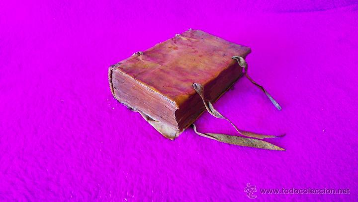 Libros antiguos: ANDRIA, PUBLIO TERENCIO 1549 - Foto 1
