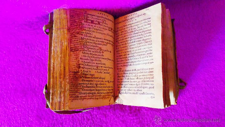 Libros antiguos: ANDRIA, PUBLIO TERENCIO 1549 - Foto 3