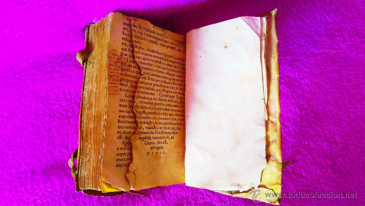 Libros antiguos: ANDRIA, PUBLIO TERENCIO 1549 - Foto 5