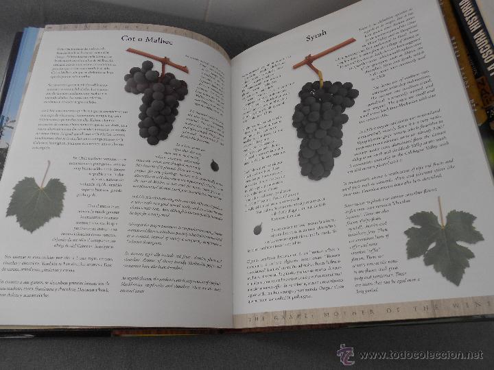 Libros antiguos: VINOS CHILENOS PARA EL SIGLO XXI - Foto 10