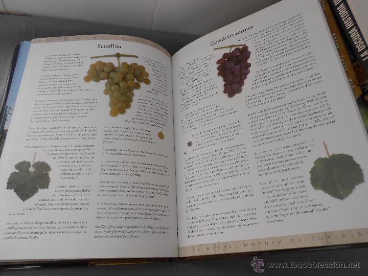 Libros antiguos: VINOS CHILENOS PARA EL SIGLO XXI - Foto 11