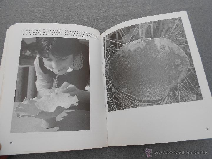 Libros antiguos: CERAMICA IMAGINATIVA - Foto 10