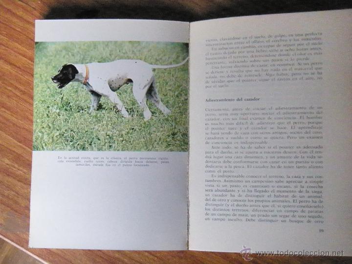 Libros antiguos: LIBRO DE CAZA EL POINTER EUGENIO CRAVERI ED VECCHI 1980 - Foto 3